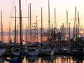 Free Sailboats in Marina at Sunset stock image to download Sailboats in Marina at Sunset FREE Stock Photo, sunset, sky, harbor picture