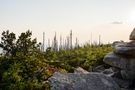 Free Rocky Outcrop Overlooking Forest at Sunset stock image to download Rocky Outcrop Overlooking Forest at Sunset FREE Stock Photo, rocky outcrop, forest, sunset picture