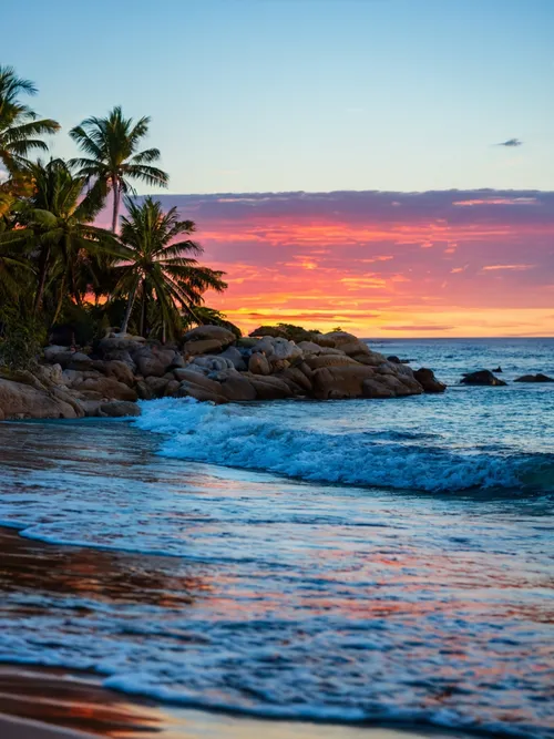 Free Sunset Beach Serenity stock image to download Sunset Beach Serenity FREE Stock Photo, palm trees, tranquility, rocks picture